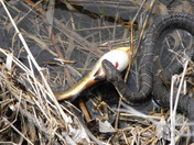 christie conservation ontario