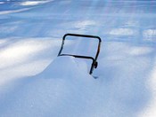 No Lawn Mowing Today!!