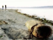 desatuated beachscape.jpg