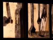 Through the shop window