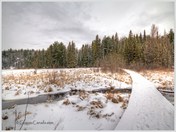 Algonquin HRD winter