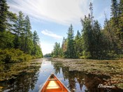 Algonquin park canoe trip