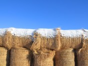 Alberta...Land of the Giant Mini-wheats