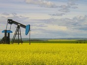 Oil of All Kinds in Alberta's Peace Country