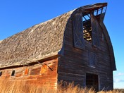 Pioneer of the Peace