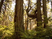 Helliwell Provincial Park, BC