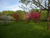 Jardin Botanique de MontrÃ‡al