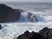 Along the Wild Pacific Trail, Ucluelet, BC