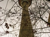 Calgary Tower November 2010