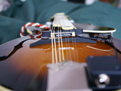 Mandolin