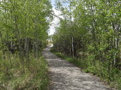 Elkwater, Cypress Hills, Alberta
