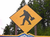 Sasquatch.jpg