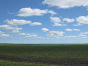 Sasketchewan's farm land 