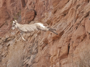 Colorado National Monument