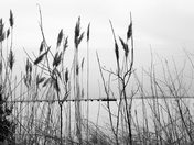 Rondeau Provincial Park Morpeth Ontario