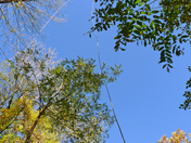 New River Gorge National River
