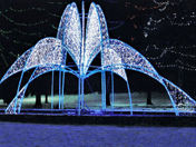 Beautiful blue lights