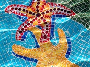 Lucky Penny Starfish