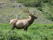 Rocky Mountain National Park