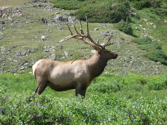 Rocky Mountain National Park