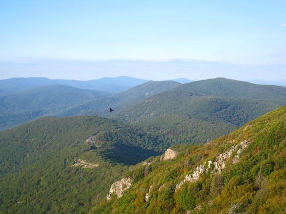 Shenandoah National Park