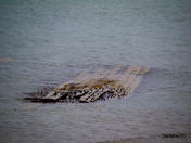 Old Wreck March 30, 2012 HDR.jpg
