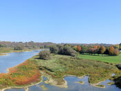 Maitland River and Golf course.jpg