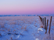 Frosty Prairie Morning