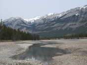 Jasper in May