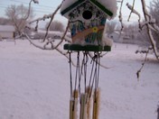catriona/wind chimes in December