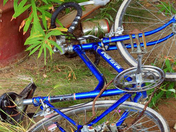 Bicycle Wreckage (1)