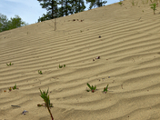 Dunes