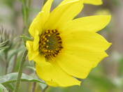 end of september 040.jpg