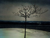 Alone in the Storm_resize.jpg