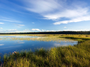 Glenmore Park, Calgary