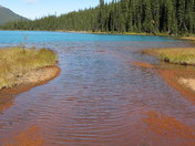 Cavell lake.JPG