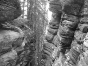 Athabasca Falls/Jasper National Park