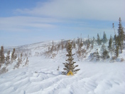 A little too much snow...?