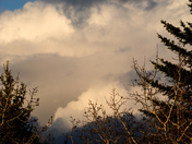Storm clouds gathering