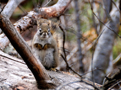 Am I invisible now?.jpg