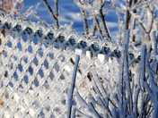 Frosty fence