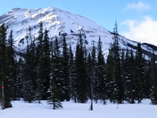 Finding the snowshoe trail