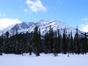 Marked Snowshoeing Trail 