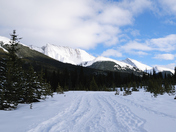 Snowshoe trail in Peter Lougheed Provincial Park