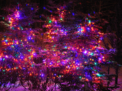 Nighttime Christmas tree light display