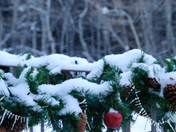 Streaks of snowflakes