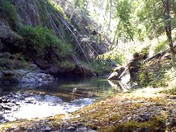 Olympic National Park