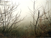 roadside on the way to Searchmont