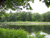 Turkey Point Provincial Park