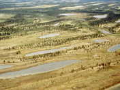 Sub-arctic beach ridges and ponds